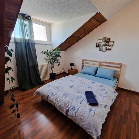 Nice Room 4 Minutes From Basel Shared Apartment Saint-Louis  Ngoại thất bức ảnh