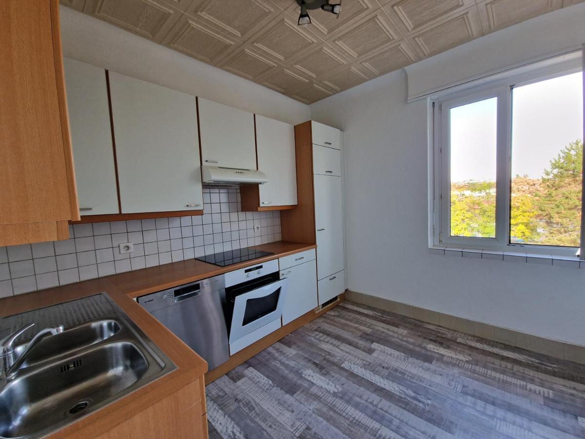 Nice Room 4 Minutes From Basel Shared Apartment Saint-Louis  Ngoại thất bức ảnh