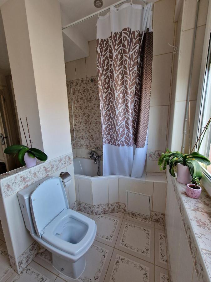 Nice Room 4 Minutes From Basel Shared Apartment Saint-Louis  Ngoại thất bức ảnh