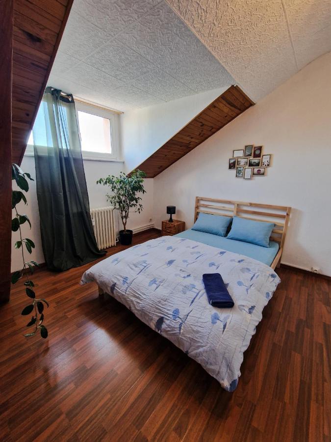Nice Room 4 Minutes From Basel Shared Apartment Saint-Louis  Ngoại thất bức ảnh