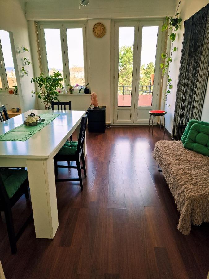 Nice Room 4 Minutes From Basel Shared Apartment Saint-Louis  Ngoại thất bức ảnh