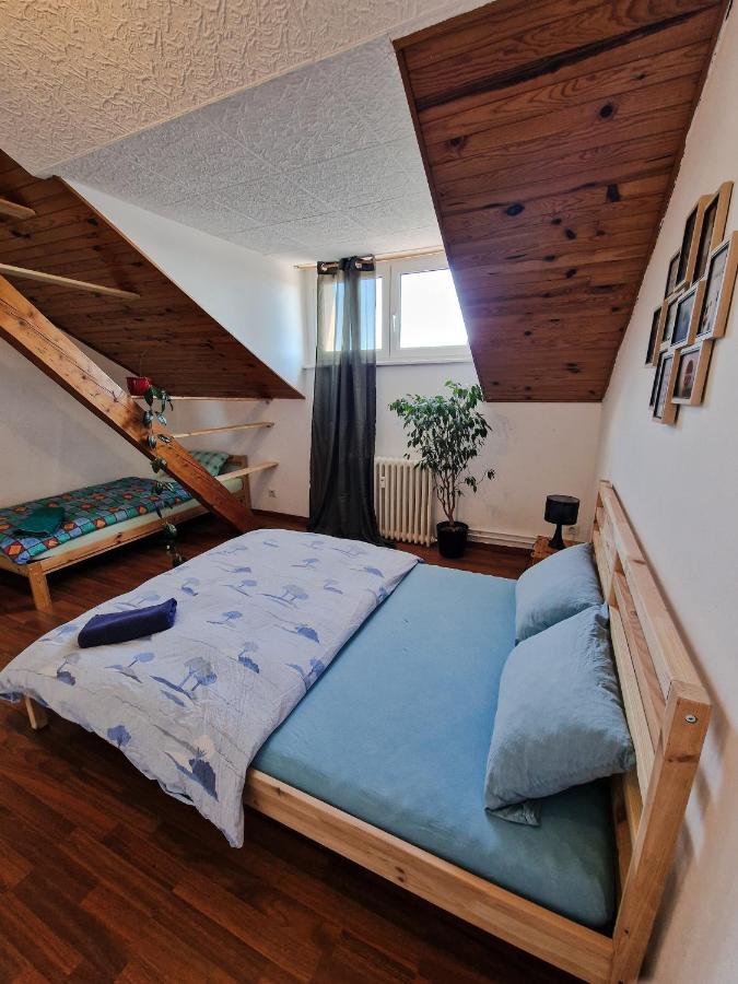 Nice Room 4 Minutes From Basel Shared Apartment Saint-Louis  Ngoại thất bức ảnh