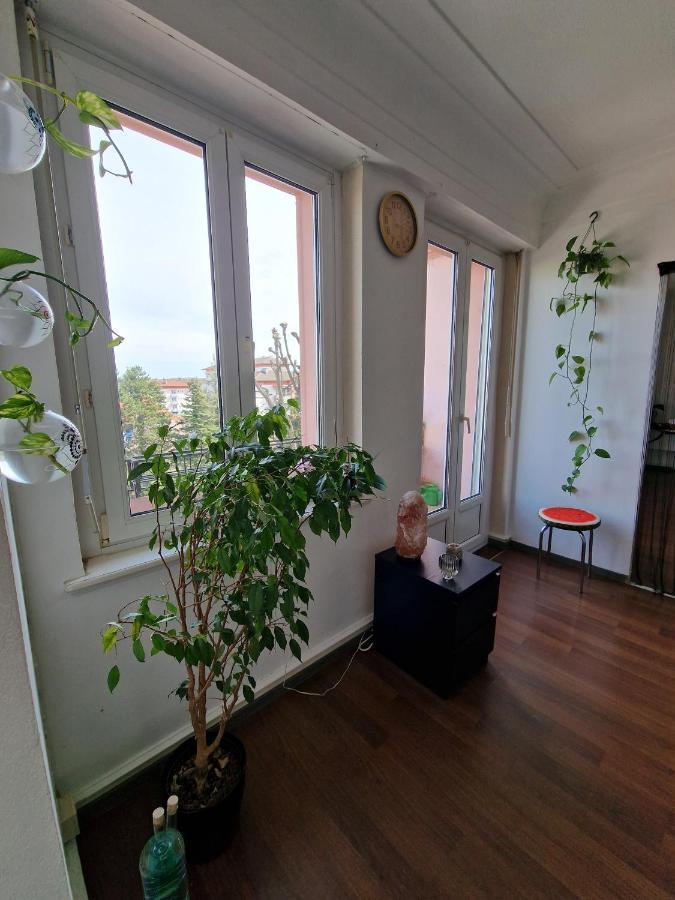 Nice Room 4 Minutes From Basel Shared Apartment Saint-Louis  Ngoại thất bức ảnh